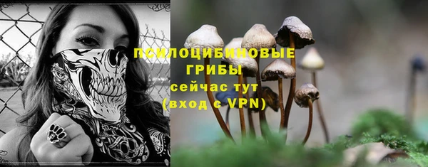 а пвп мука Балабаново