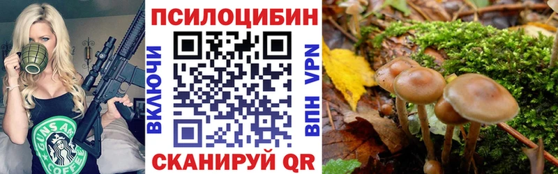 площадка какой сайт  Верхотурье  Псилоцибиновые грибы GOLDEN TEACHER 
